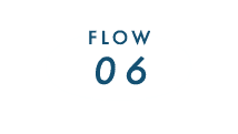 FLOW06